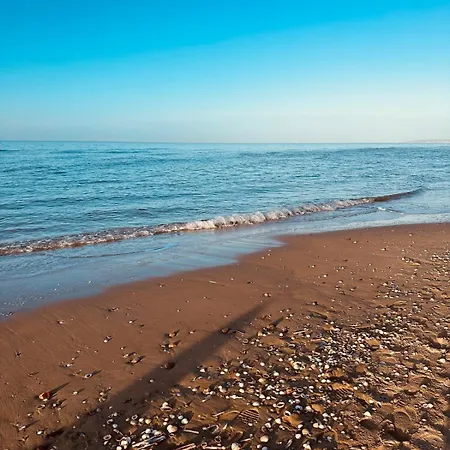 Joli T2 Situe Dans Le Coeur De Apartment
